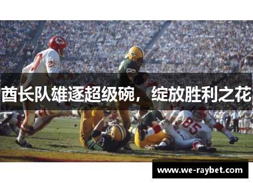 酋长队雄逐超级碗,绽放胜利之花 酋长队雄逐超级碗,绽放胜利之花