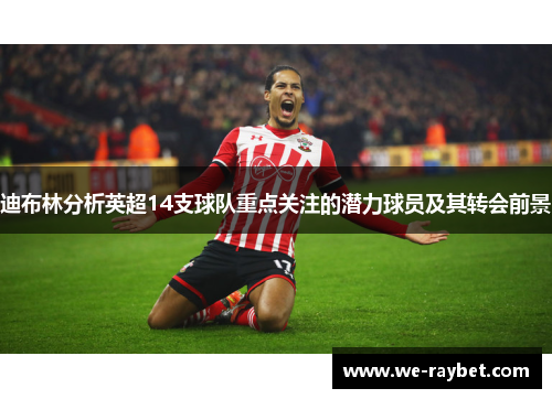 迪布林分析英超14支球队重点关注的潜力球员及其转会前景